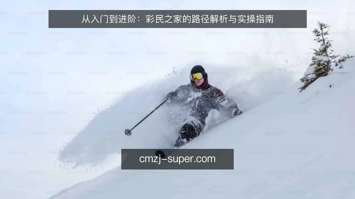从入门到进阶：彩民之家的路径解析与实操指南
